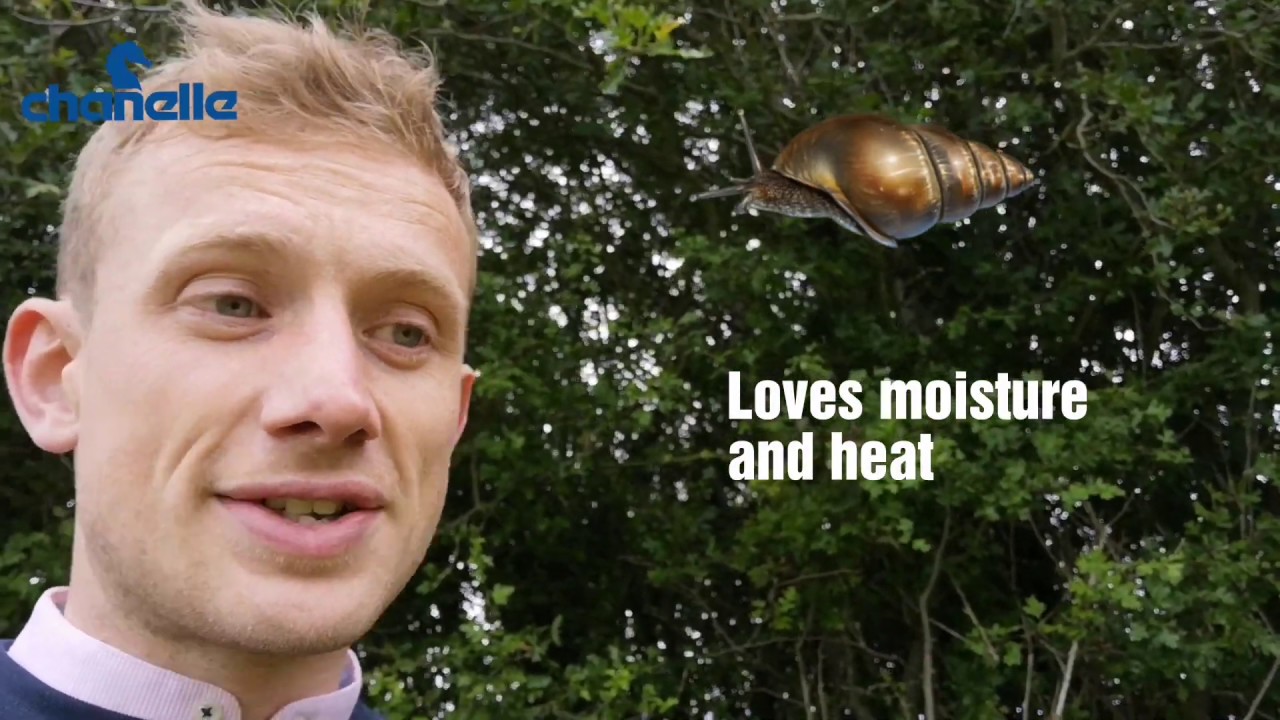 The origins of a 'flukey' year - 