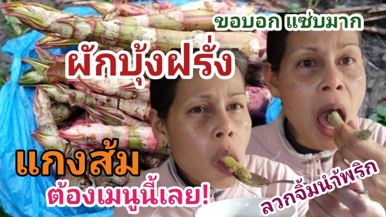 ผักป่ากินได้ต่างแดน! ผักบุ้งฝรั่ง ที่ใครๆถามถึง ทำแบบไหนกิน? จัดให้เลยเมนูง่ายๆแต่แซ่บจ้า|08.03.2024