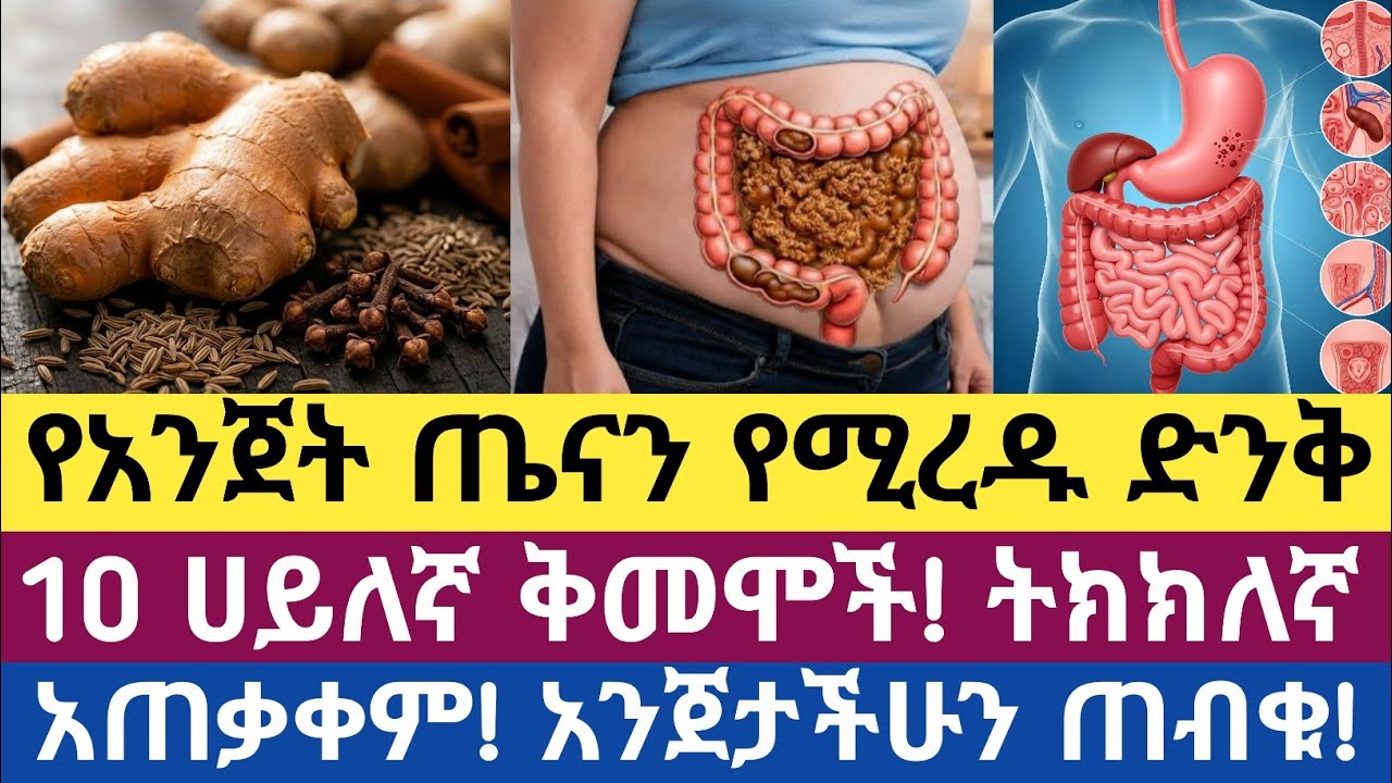 የሆድ ዕቃ/የአንጀት ጤናን የሚረዱ 10 ኃይለኛ ቅመሞች እና የምንጠቀምባቸው መንገዶች| 10 powerful spices that support gut health