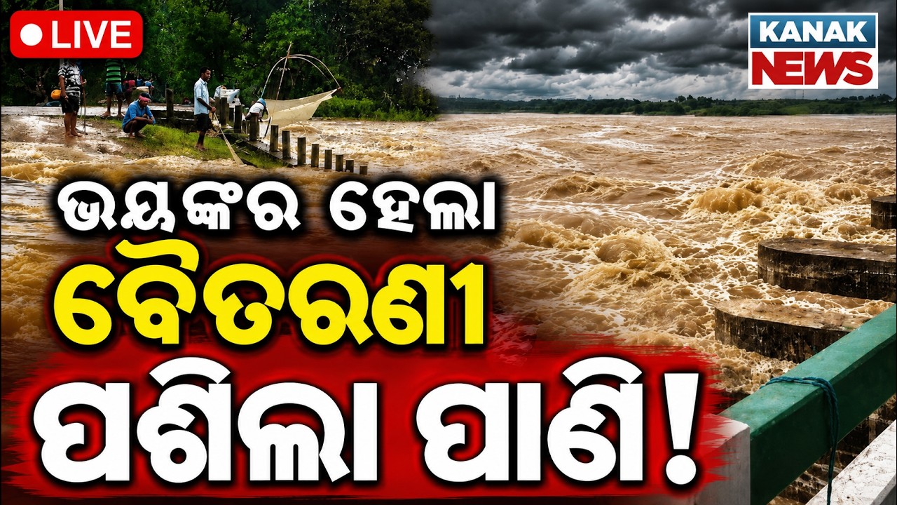 🔴Live ଭୟଙ୍କର ହେଲା ବୈତରଣୀ ! Baitarani Water level crosses danger mark | Flood Threat Grows in Bhadrak