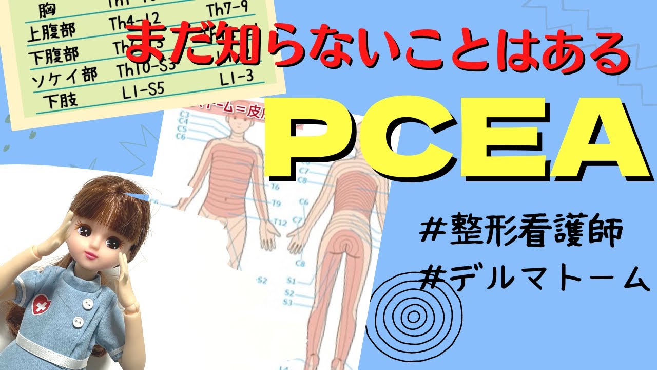 【PCEA】硬膜外PCAの原理☆デルマトームをふまえて♪＃看護師＃整形外科＃勉強