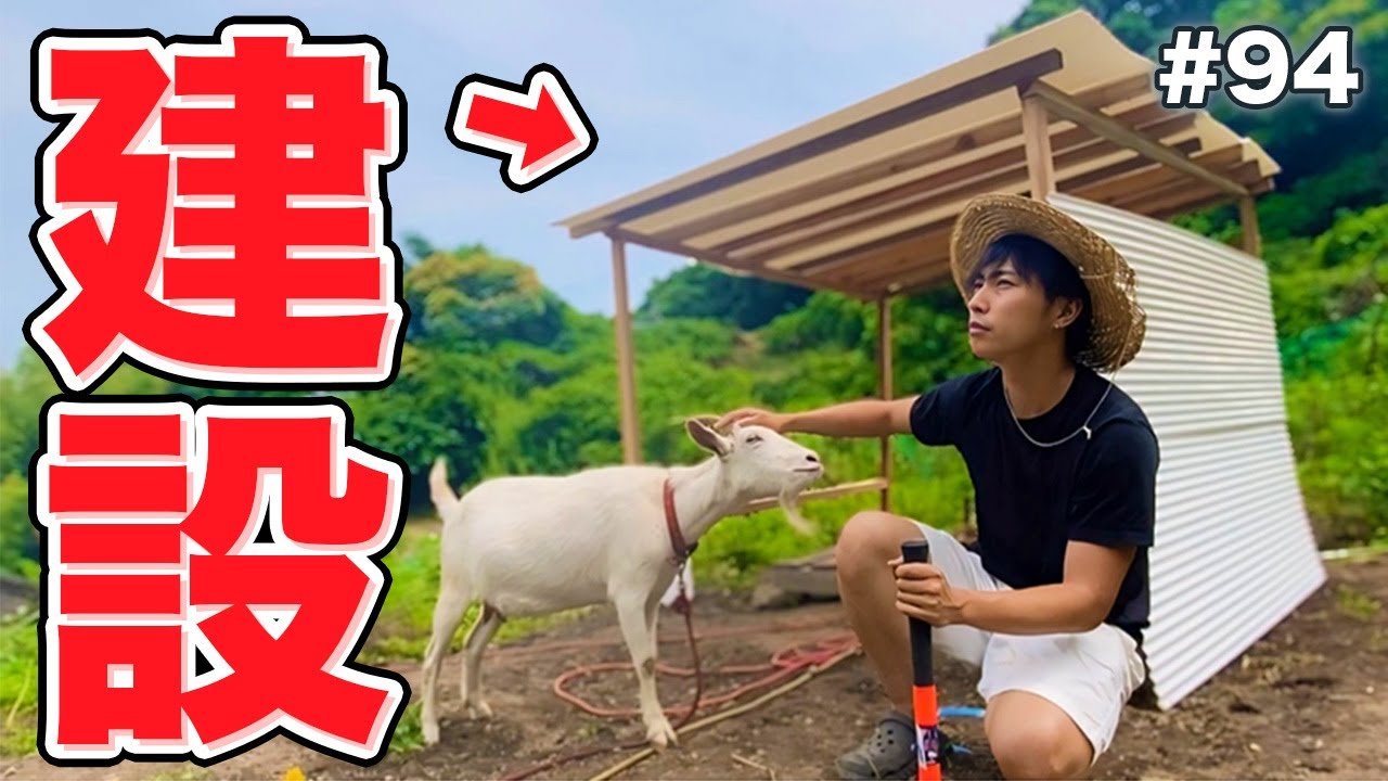 【ヤギ飼育】DIY素人による世界一簡単なヤギ小屋作り。【#94】
