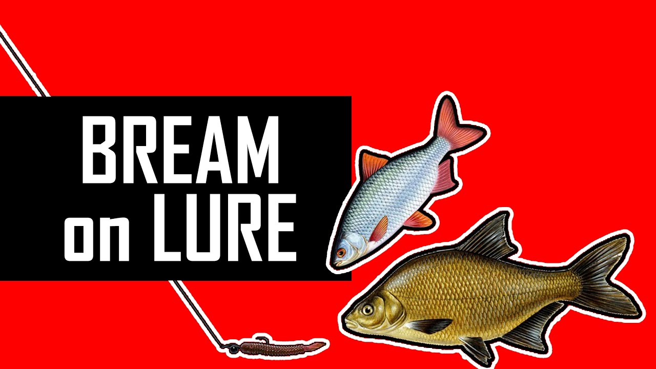 How to tie the BEST SUL/XUL RIG? Bream on lures!