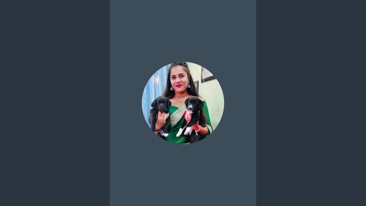 swizen& swizy's pawworld🐾 is live