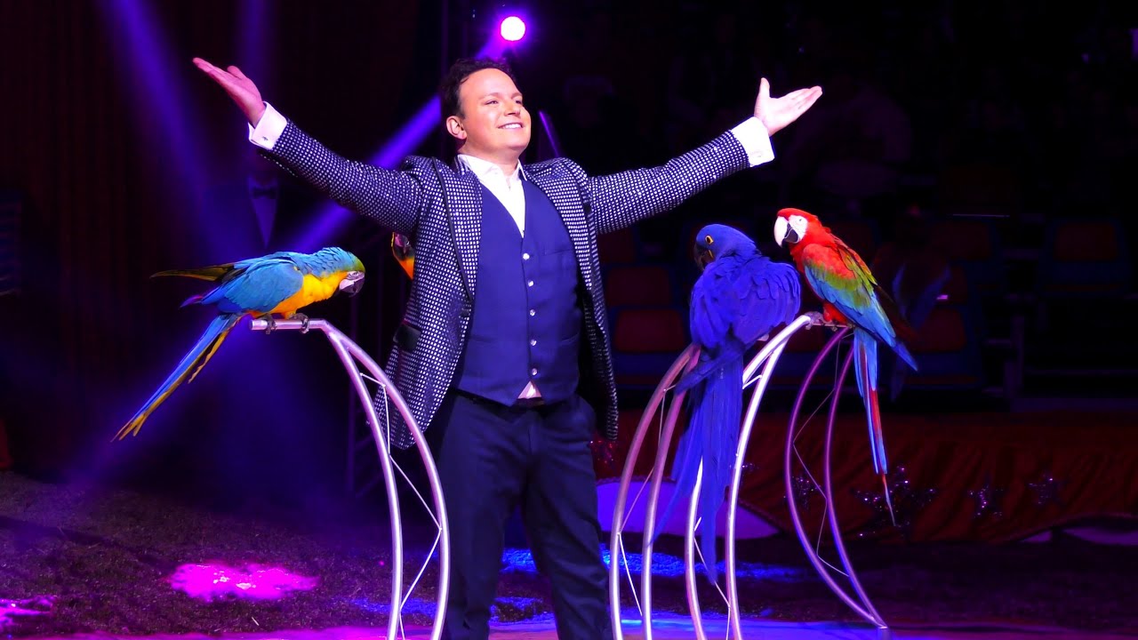 Alessio Fochesato - papgáj revü / parrot revue - Magyar Nemzeti Cirkusz - 30 éves gálaműsor
