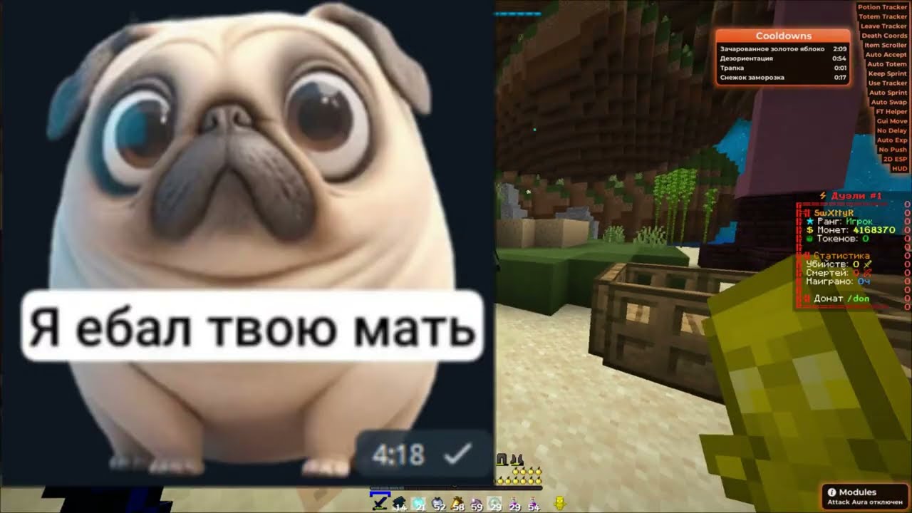 выдали приватную версию Puls Vizuals