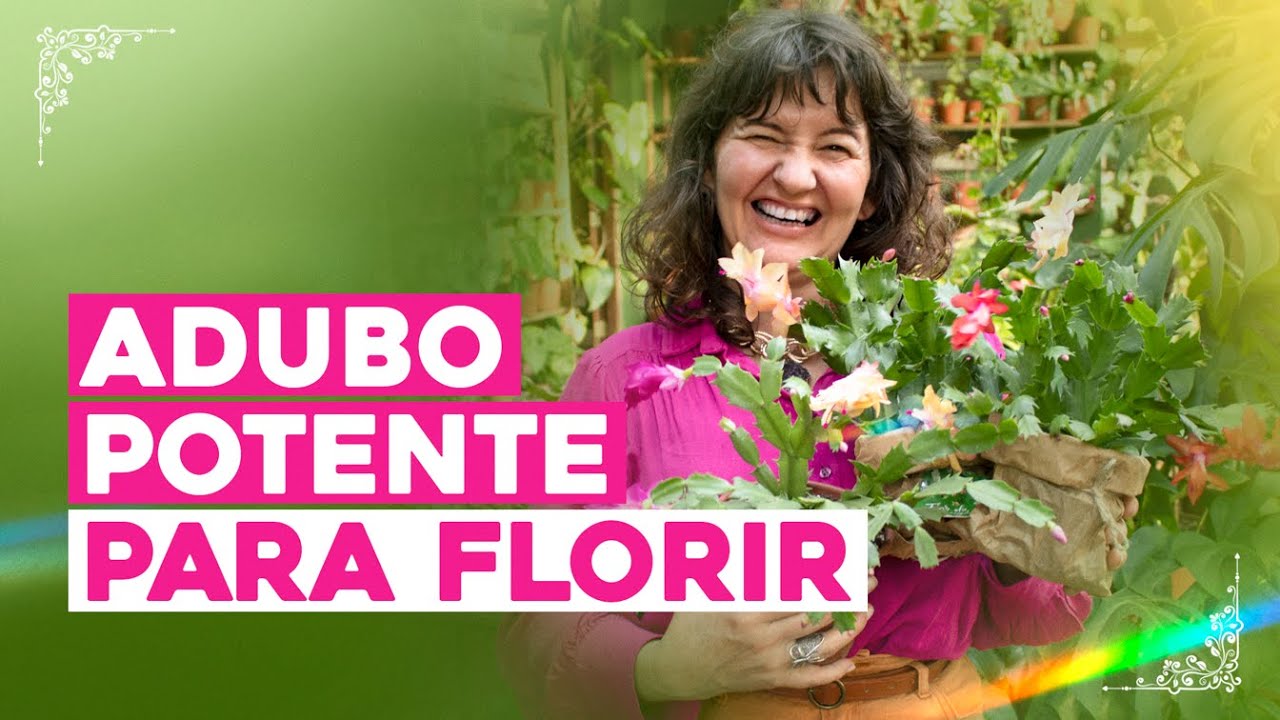 FLOR de MAIO ADUBO CASEIRO para fazer FLORIR!