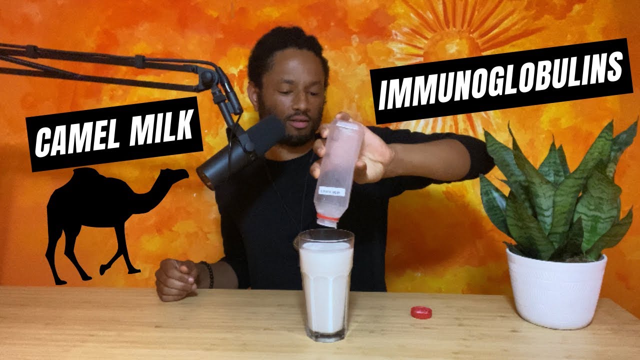 Camel Milk Taste Test For Autoimmune Disease Reversal & Disease Prevention