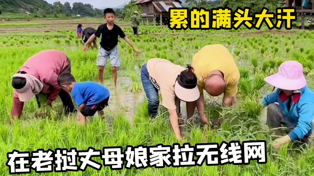 中国女婿在老挝丈母娘家拉无线网，干了半天累的满头大汗，结果还是做了无用功【老挝媳妇中国老公】