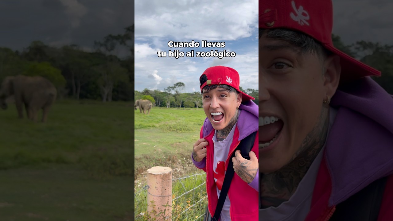Cuando llevas tu hijo al zool&oacute;gico