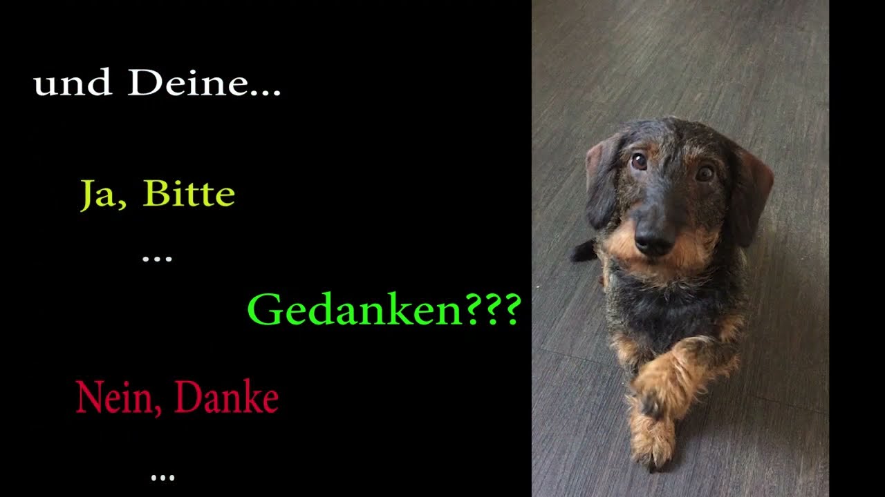 Grüße zum Wochenende-Ja, Bitte....Nein, Danke