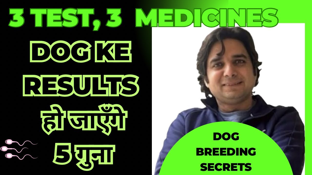 Dog के results को पाँच गुणा कैसे करें।।test and medicine required to maintain libido and results dog