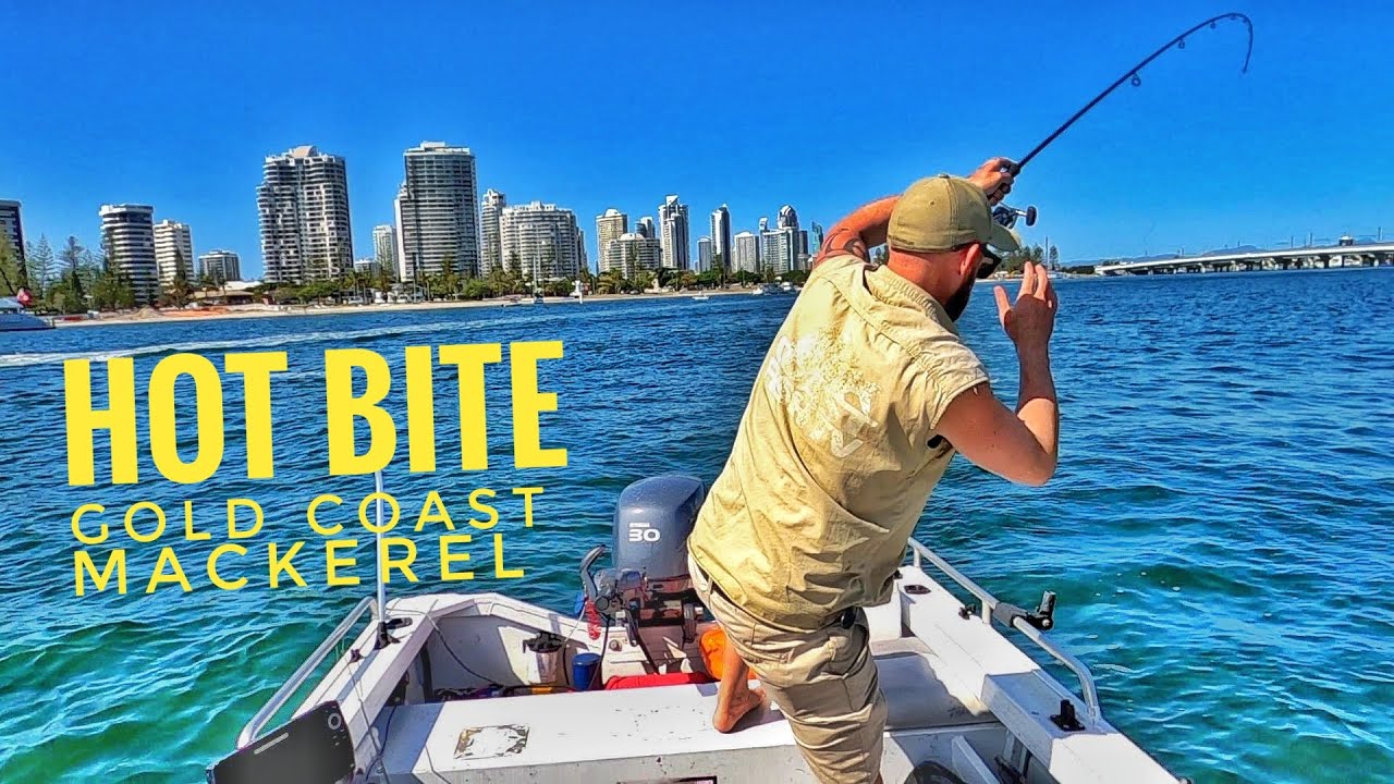How to catch School Mackerel | Best Fishing Rig and Bait | NEVER FAIL APPROACH