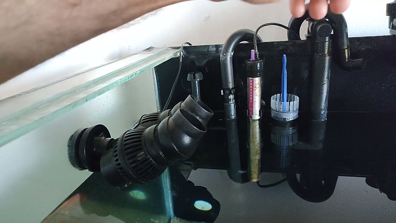 Posição das entradas e saídas dos canisters