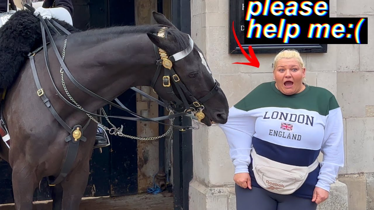 Don’t You Feed My Ormonde Crumbs from the Floor - Guard Warns Tourists