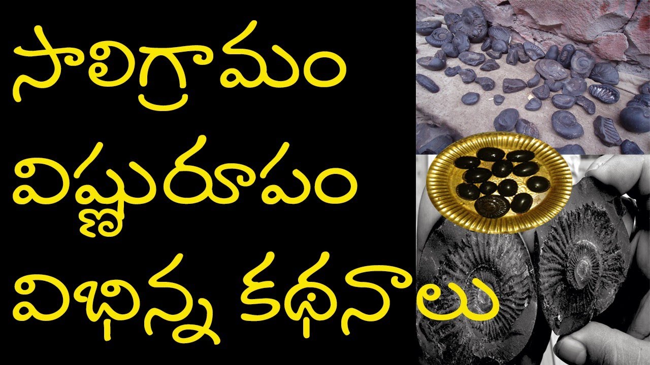 saligramam history/shaligram stone/gandaki river/mythological,scientific stories behind salagramam