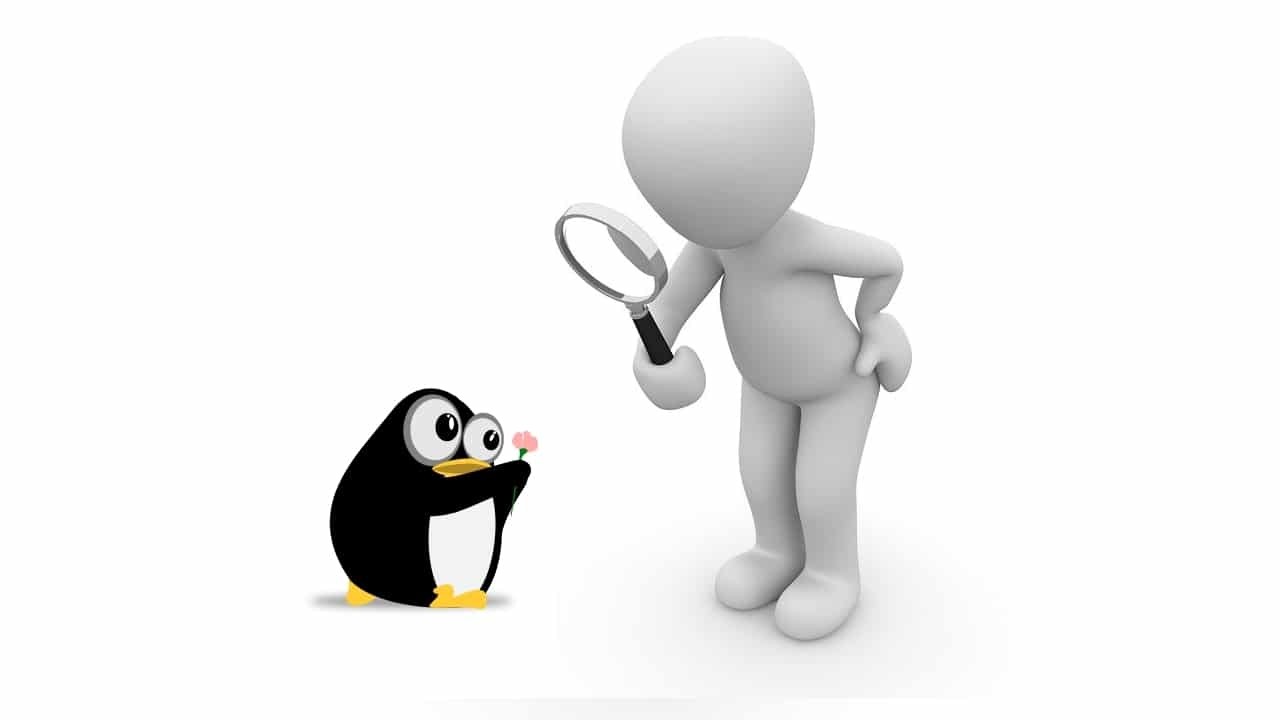 Поиск файлов и директорий в терминале Linux.