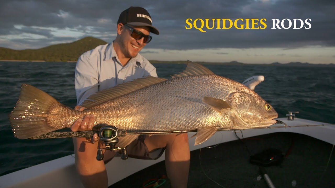 Shimano Squidgies Rods