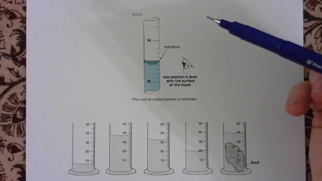 Mathematics : Grade 6 : Week 8 : 2. Estimating, Measuring and Recording