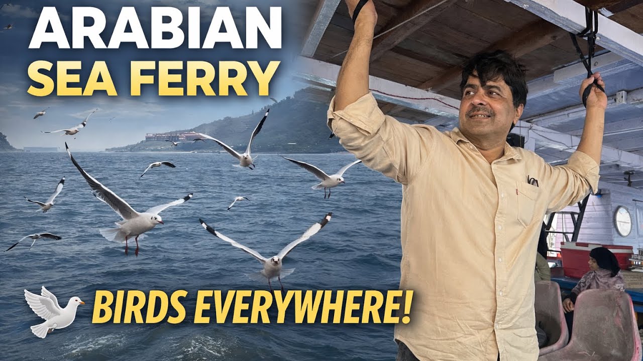 Ferry ride at Arabian Sea ⛴️|birds flying all around 😍seagulls sea breeze and peace ✌️ 