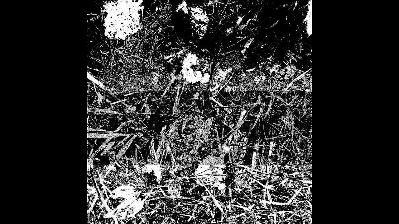 [FREE] Trap metal type beat 