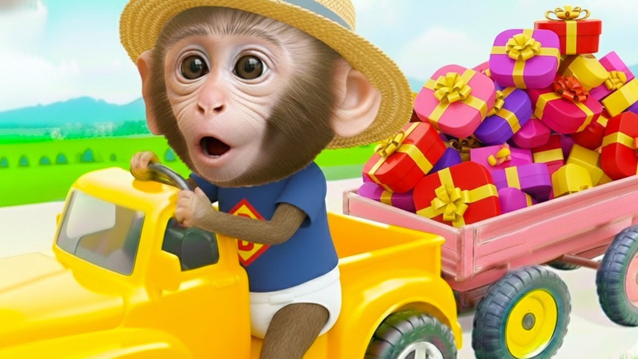 Mengapa Monyet Kecil Bim Memiliki Kotak Hadiah Kejutan? Rahasianya Terungkap!