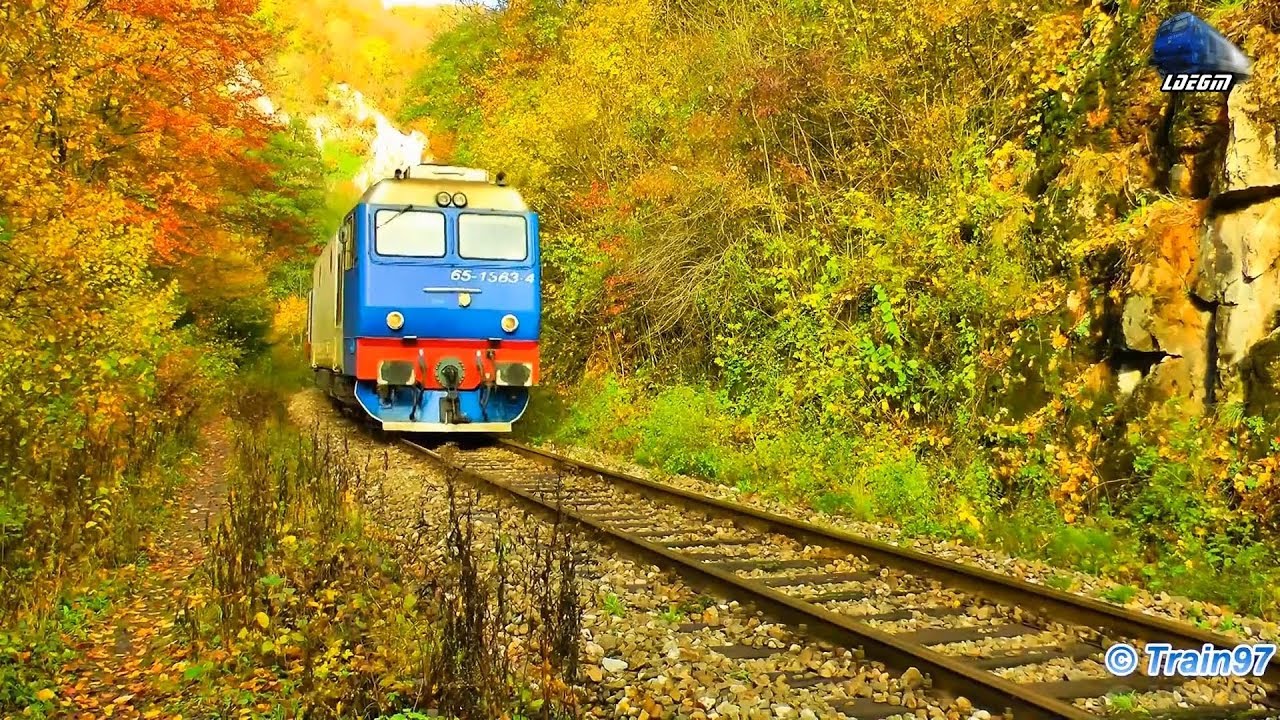 Autumn Trains/Trenurile Toamnei in Munții Apuseni Mountains - 19 October 2013