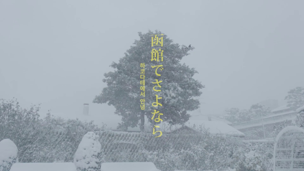 하코다테에서 안녕 (函館でさよなら) (An So Hee, Jung JunWon)