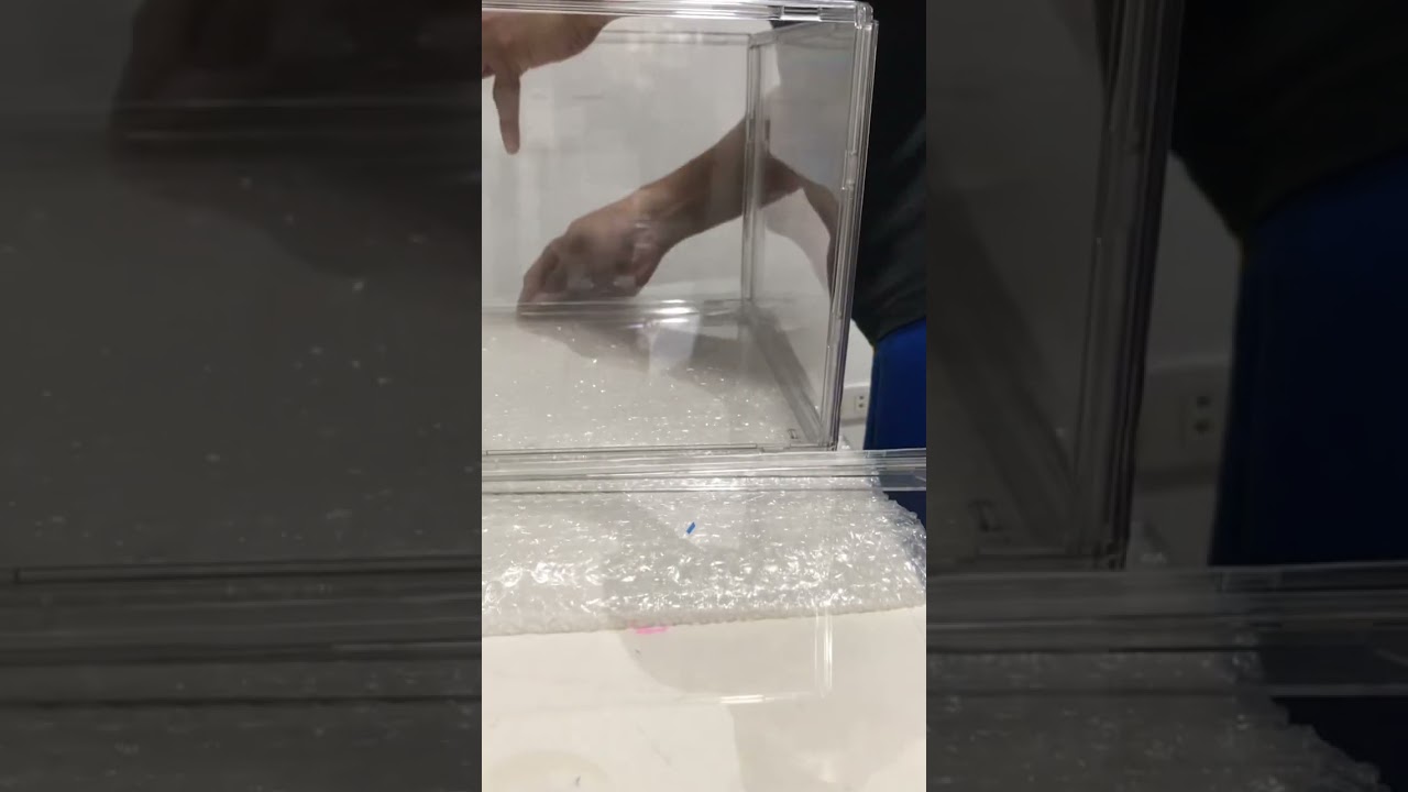 Acrylic Toy Display Box | How to install