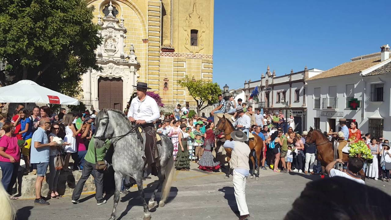 Ofrenda de flores los amigos de los caballos algodonales