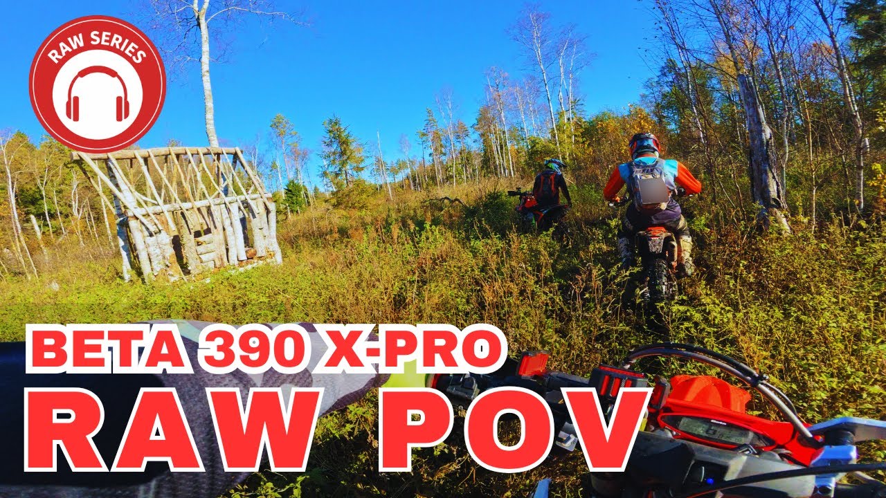 The Grass Fight | RAW SERIES | Beta 390 X-Pro |  (Pure Sound / No Music / 4K)