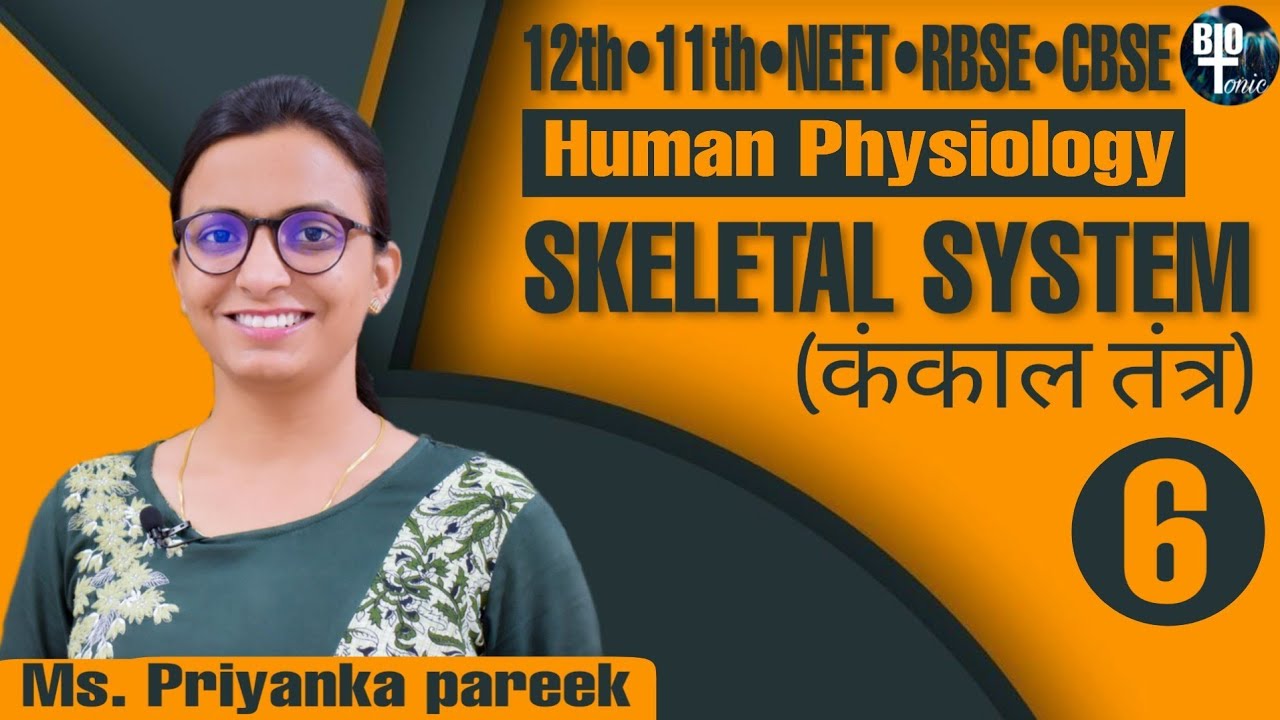 Human Skeleton System || Joints || Synovial joints || Immovable joints || Slightly moveble joints ||