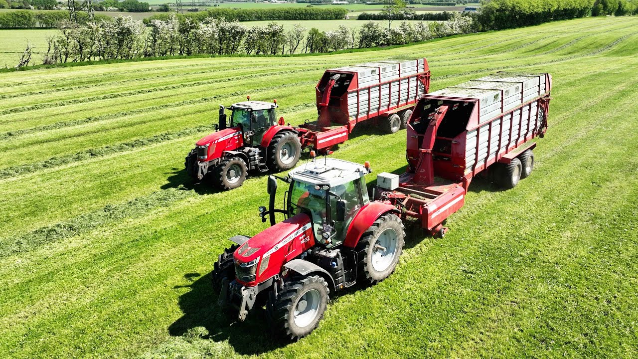Massey Ferguson 6475, 7495, 7624 & 7719S Chopping Grass w/ JF ES4200 Forage Harvester | Grass Season