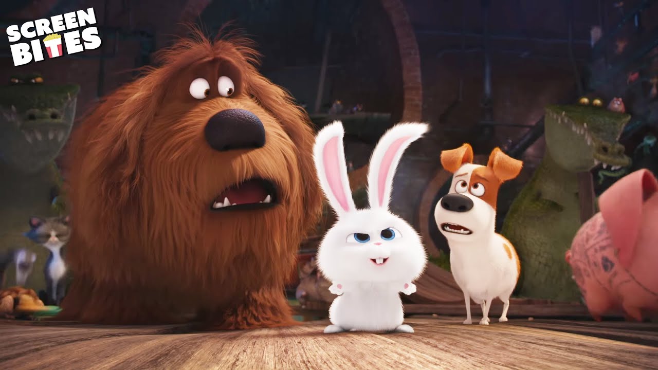 The Secret Underground Lair For Abandoned Pets | The Secret Life Of Pets (2016) | Screen Bites