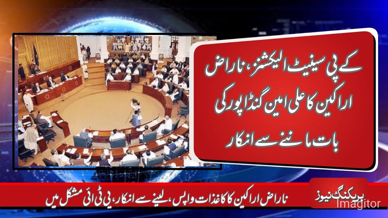 Disgruntled PTI leaders vow to contest Senate elections, reject withdrawal calls