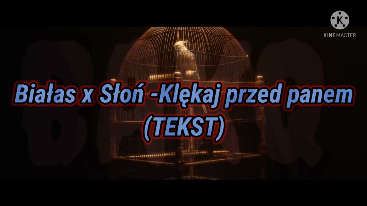 Białas x Słoń -Klękaj przed panem(TEKST)