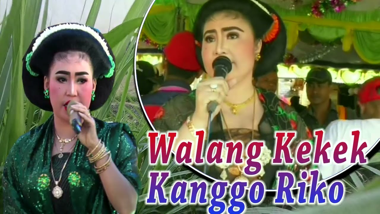 Walang Kekek Kanggo Riko = Nyi Mursiati Tayub Lawasan
