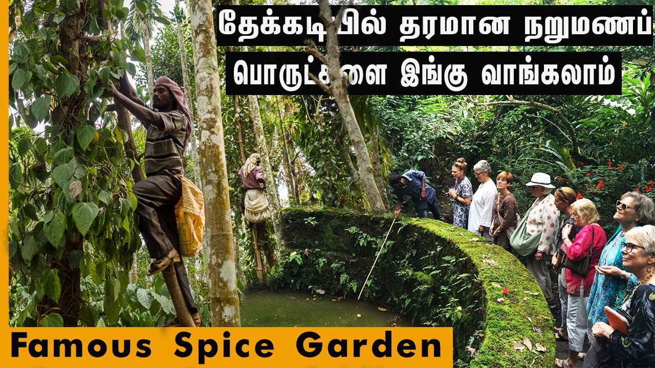 Vlog #47: Best Place to Buy Spices in Kumily ( Thekkady ) , Kerala | Abraham Spice Garden
