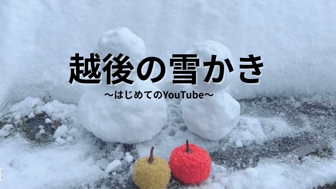 越後の雪かき