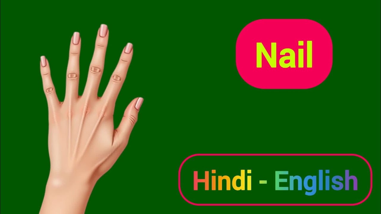Hindi Meaning of Nail | Nail meaning in Hindi | Nail ka kya matlab hota hai |