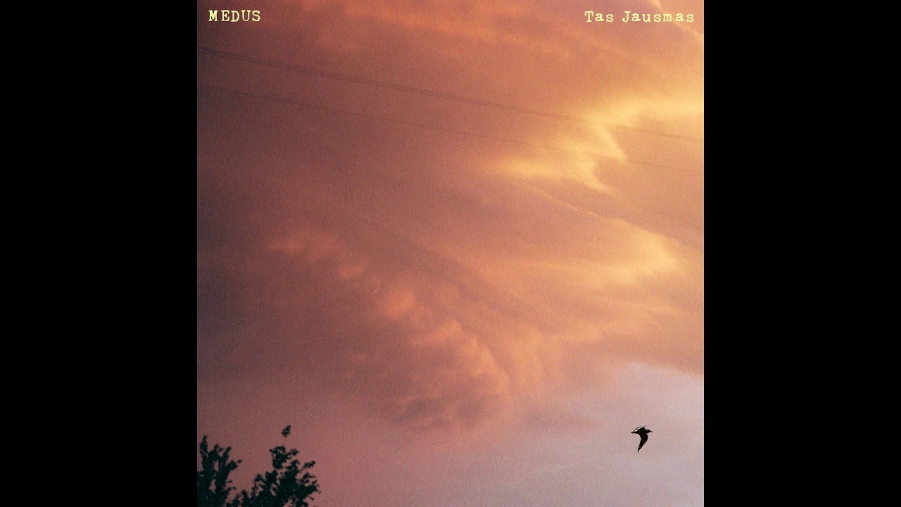 Medus - Tas jausmas