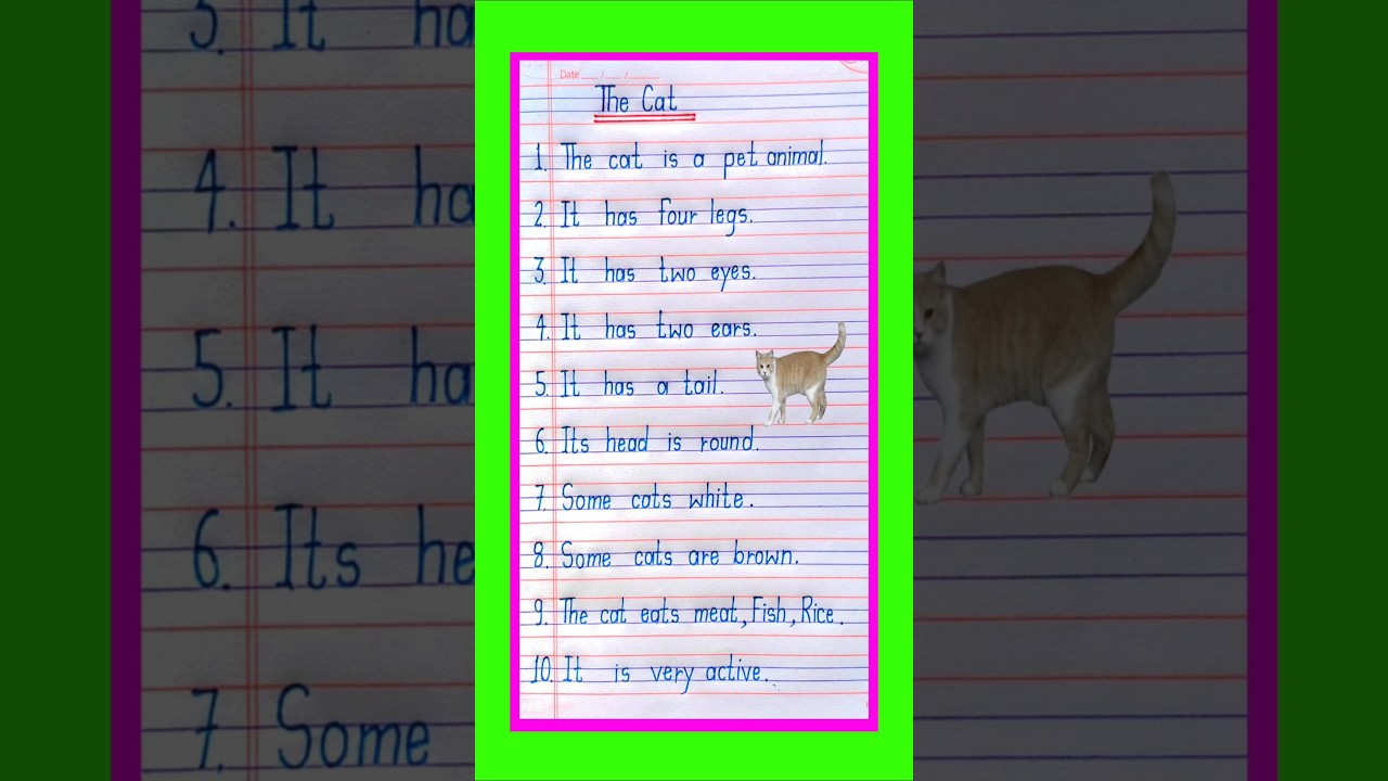 the cat essay in english//cat essay in english//my pet cat essay//#shorts