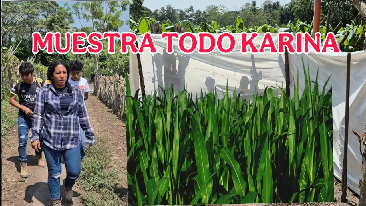 KARINA sorprende a todos y muestra todos sus cultivos