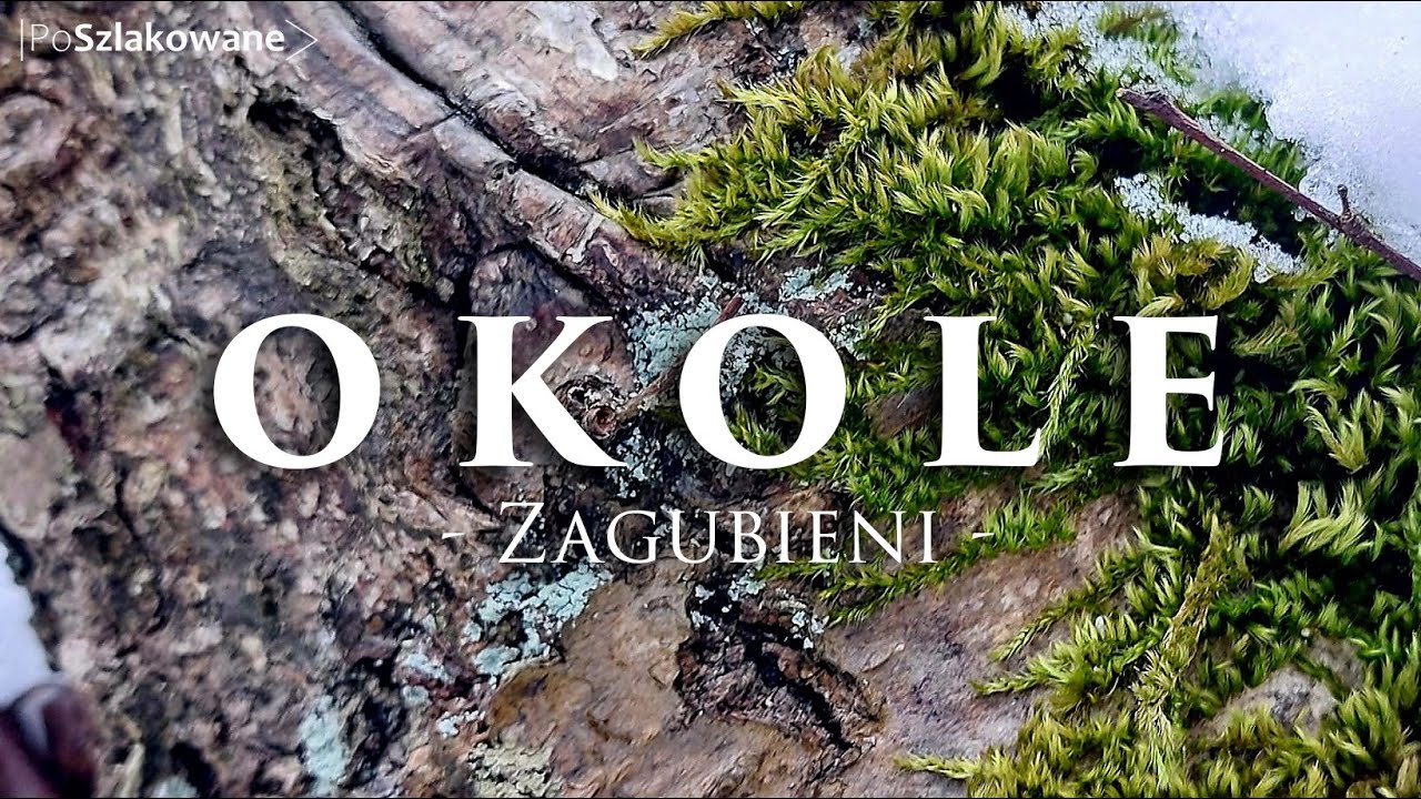 Okole - Zgubiliśmy się | Korona Gór Dolnego Śląska