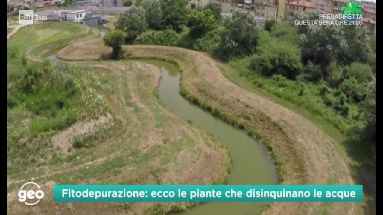 Cos'è la fitodepurazione? Ce lo spiegano i consorzi di bonifica.