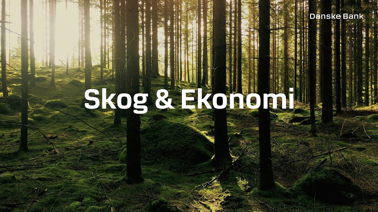 Marknadsläget för skogen & skogsindustrin - webinar 9 mars 2026