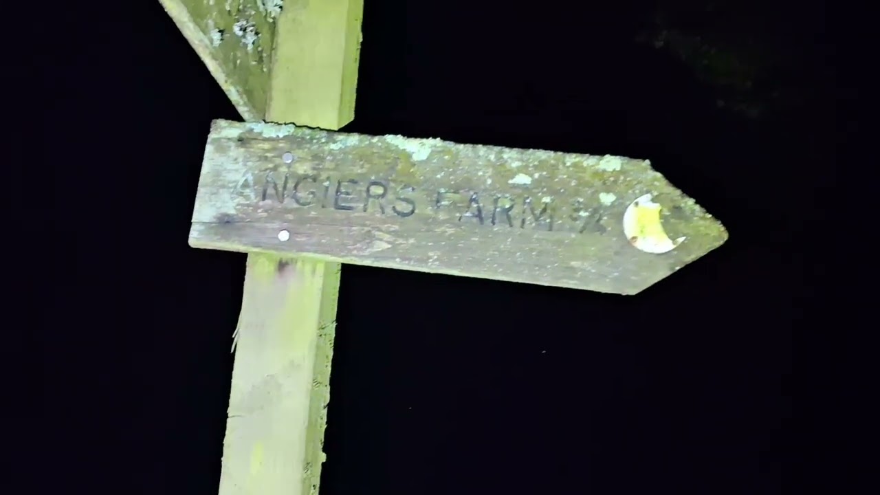 В поисках больших кошек, Пиддлс Вуд, Стурминстер Ньютон