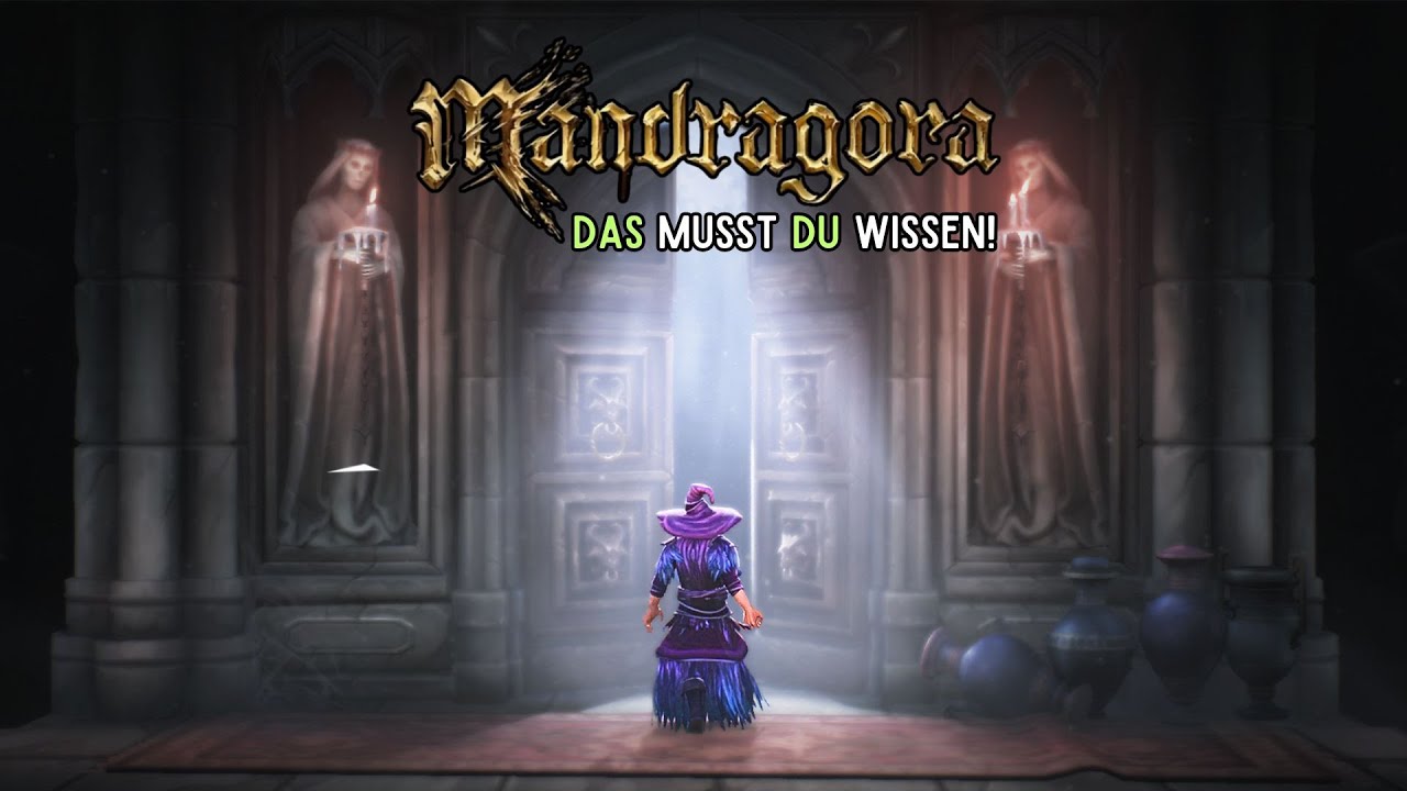 6 Dinge die DU wissen MUSST! 🤓 | Mandragora: WotW 🎍