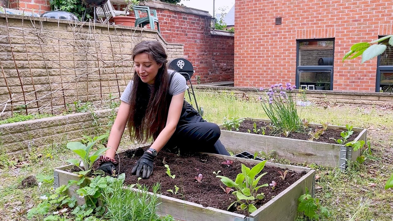 Planting Low Maintenance Crops In the Home Community Courtyard / Homegrown Garden