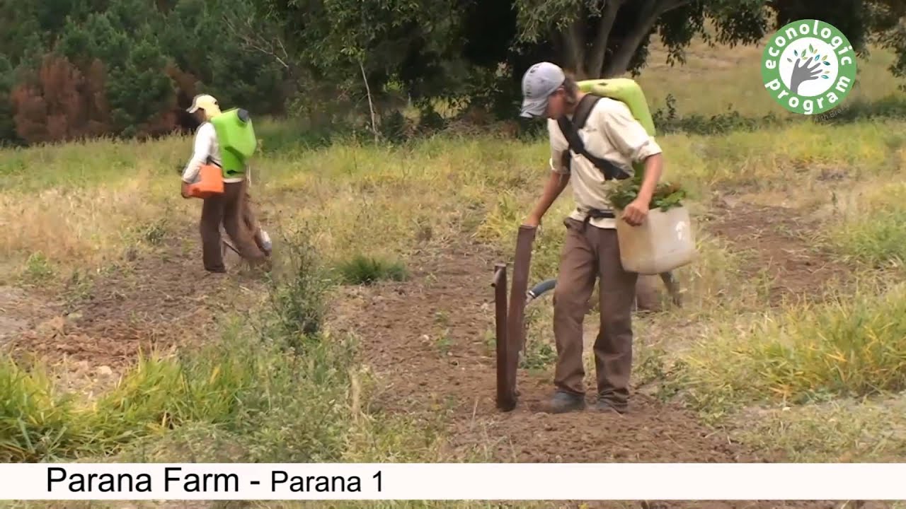 Brazil Forest (Groupe SLB) - Paraná Farm 1 [ENG]